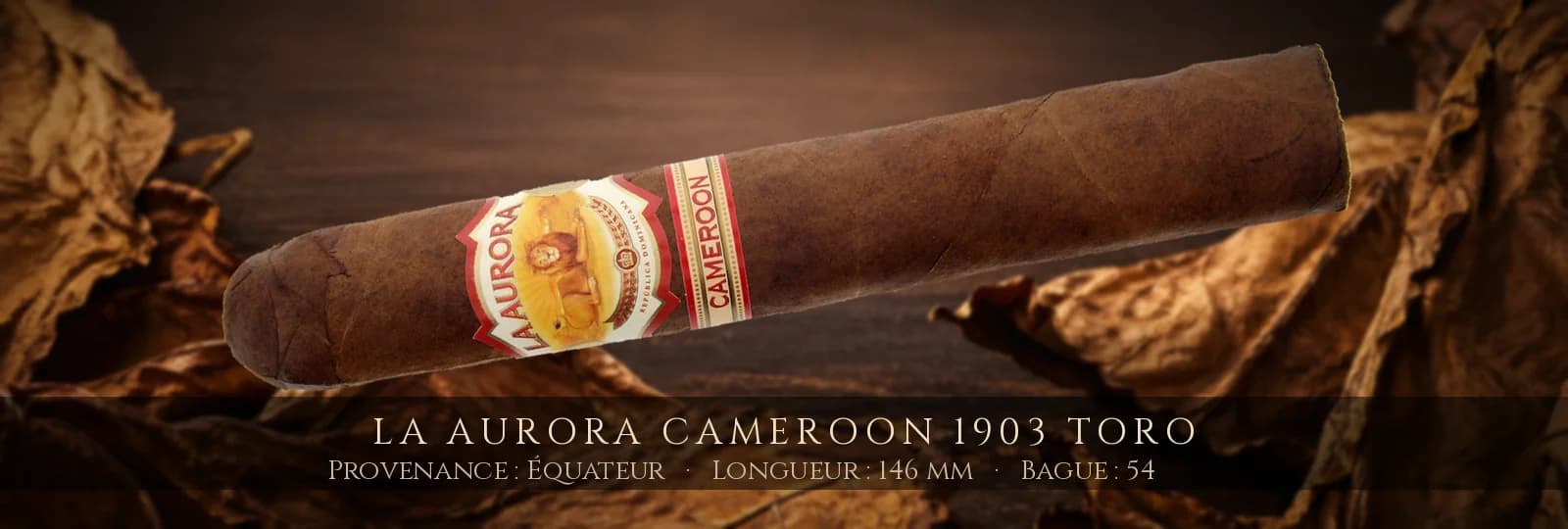 La Aurora Cameroon 1903 Toro — La Aurora — Équateur