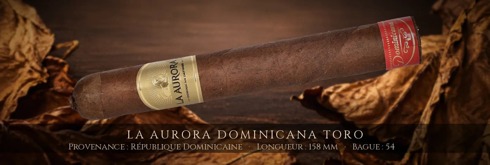 La Aurora Dominicana Toro — La Aurora — République Dominicaine