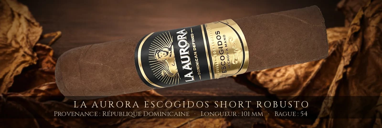 La Aurora Escogidos Short Robusto — La Aurora — République Dominicaine