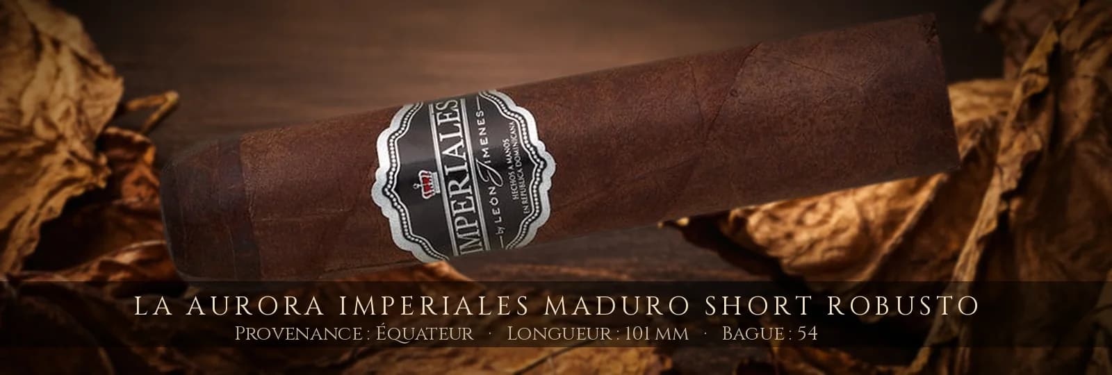 La Aurora Imperiales Maduro Short Robusto — La Aurora — Équateur
