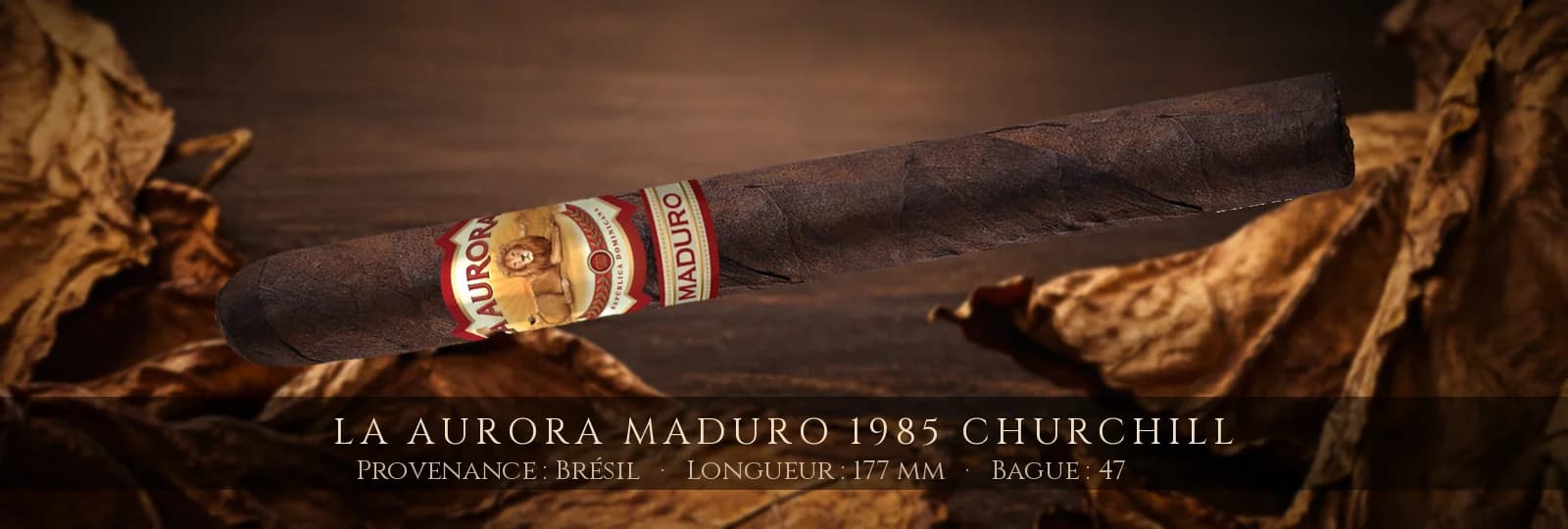 La Aurora Maduro 1985 Churchill — La Aurora — Brésil