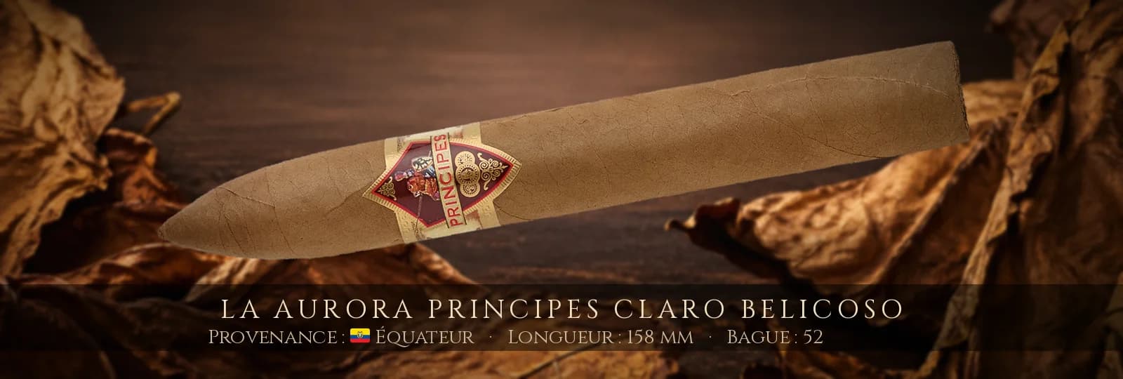 La Aurora Principes Claro Belicoso — La Aurora — Équateur