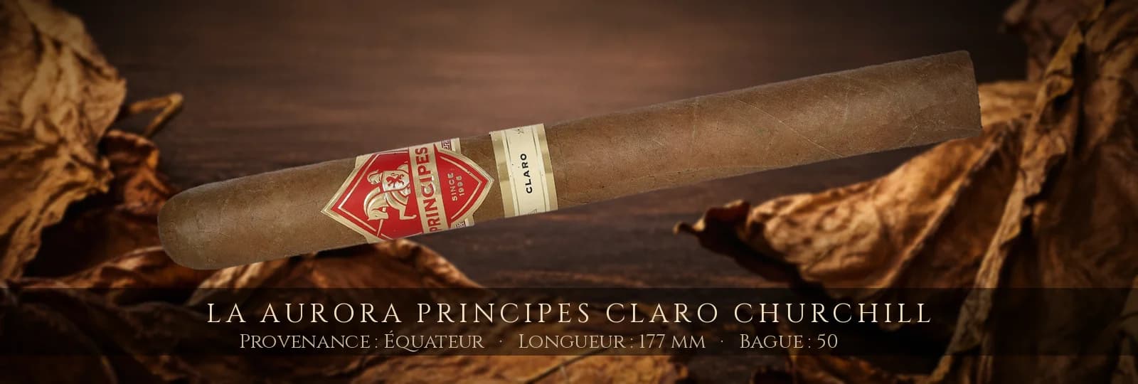 La Aurora Principes Claro Churchill — La Aurora — Équateur