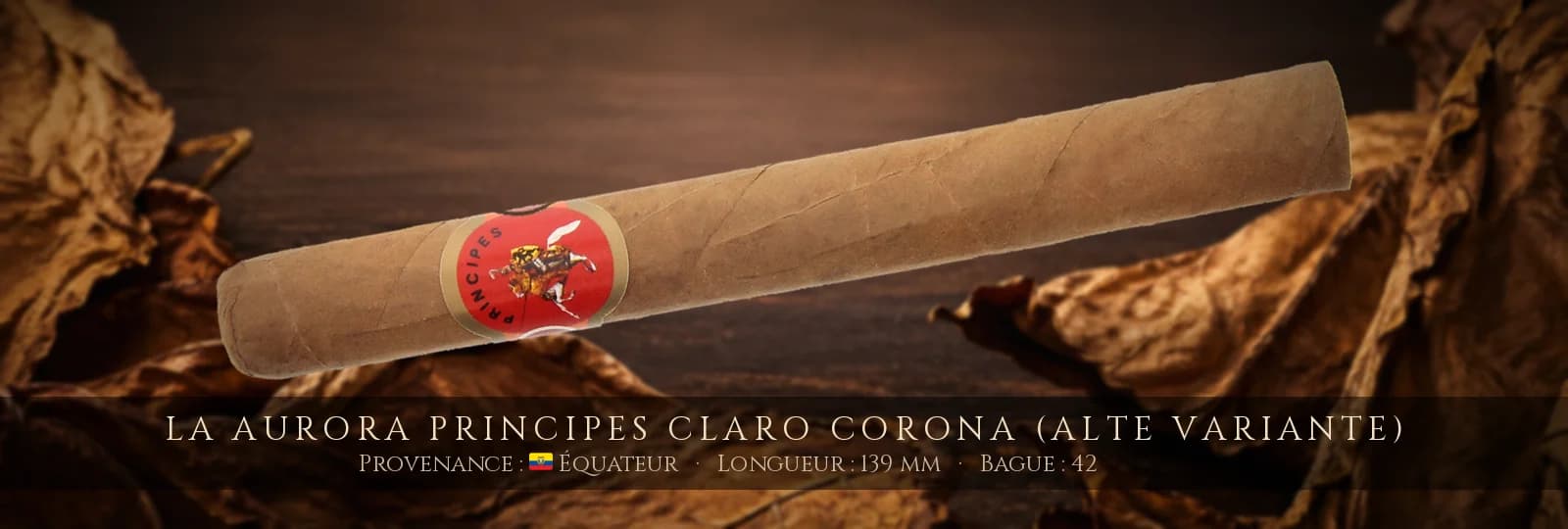 La Aurora Principes Claro Corona (alte Variante) — La Aurora — Équateur