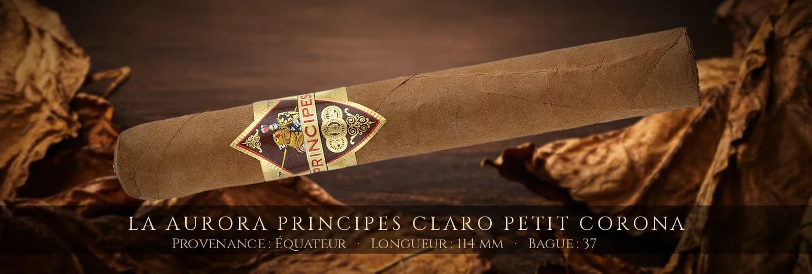 La Aurora Principes Claro Petit Corona — La Aurora — Équateur
