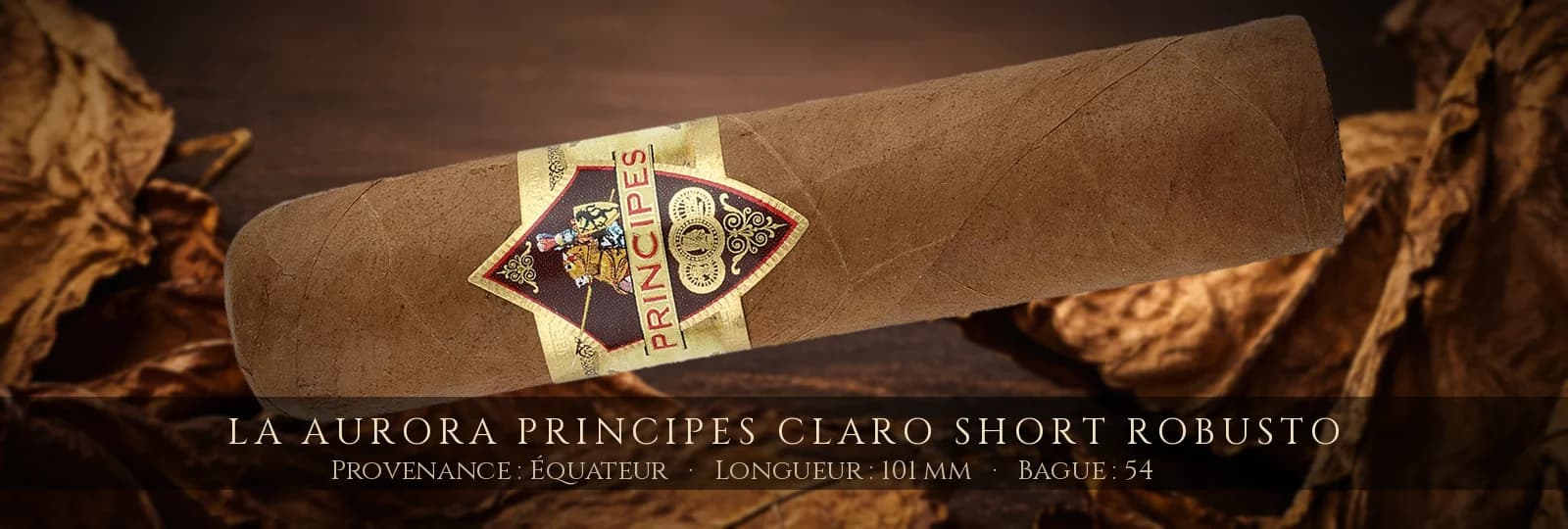 La Aurora Principes Claro Short Robusto — La Aurora — Équateur