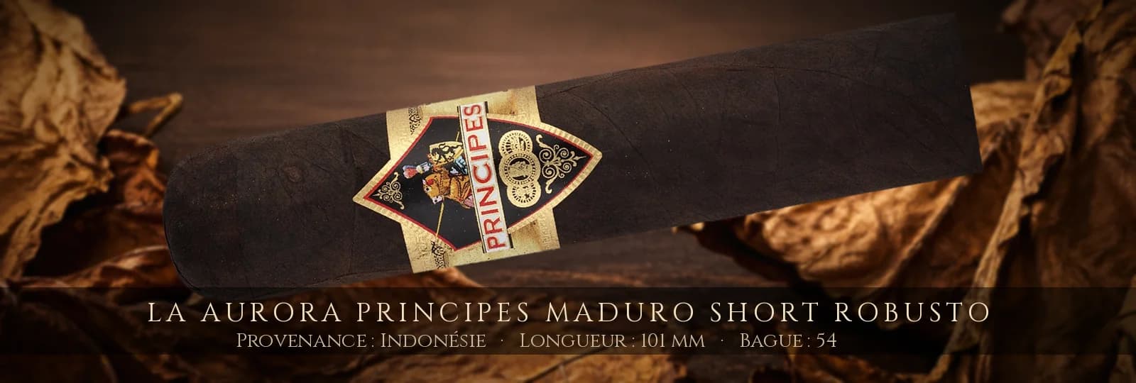 La Aurora Principes MADURO Short Robusto — La Aurora — Indonésie