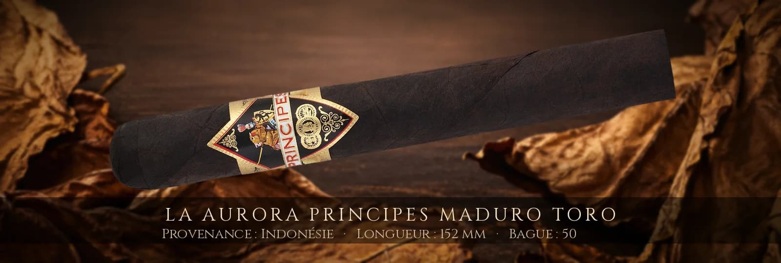 La Aurora Principes MADURO Toro — La Aurora — Indonésie