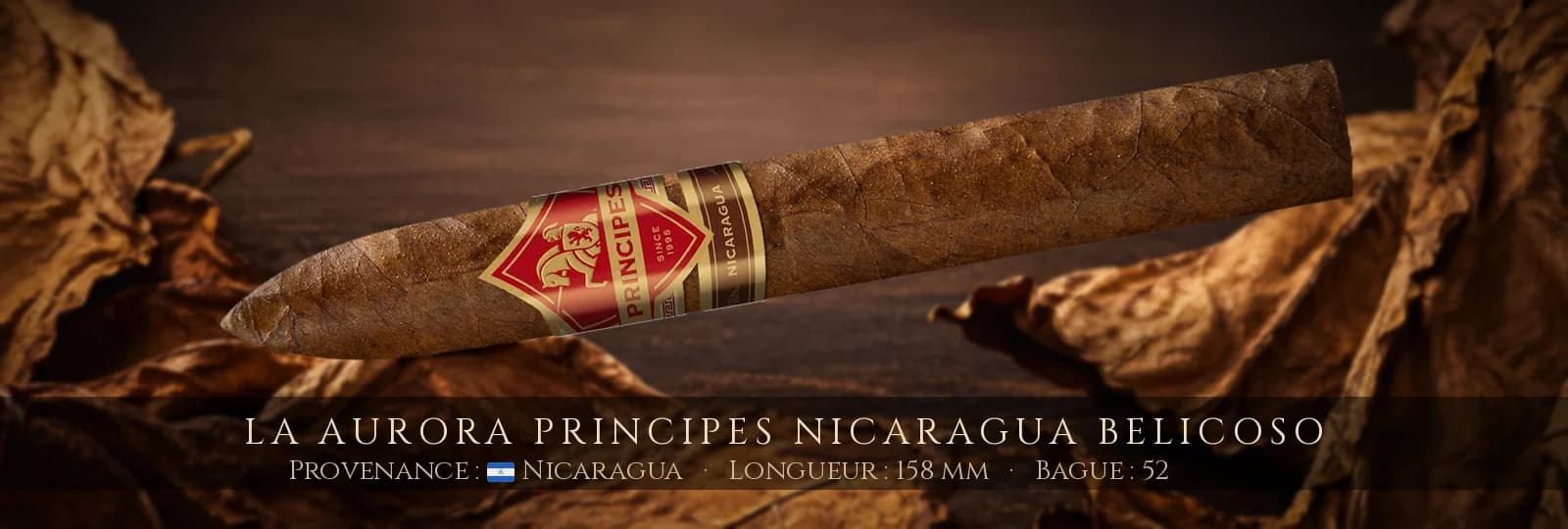 La Aurora Principes Nicaragua Belicoso — La Aurora — Nicaragua