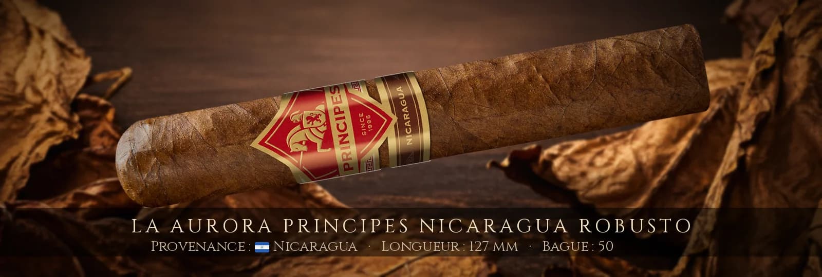La Aurora Principes Nicaragua Robusto — La Aurora — Nicaragua