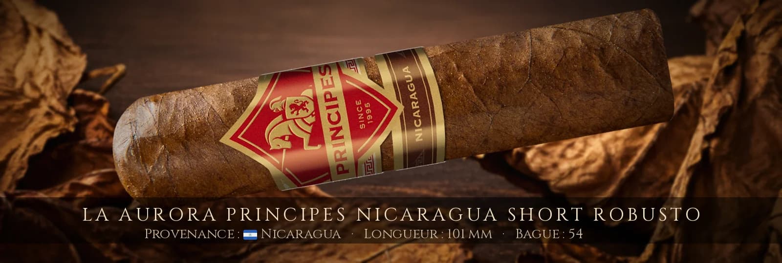 La Aurora Principes Nicaragua Short Robusto — La Aurora — Nicaragua