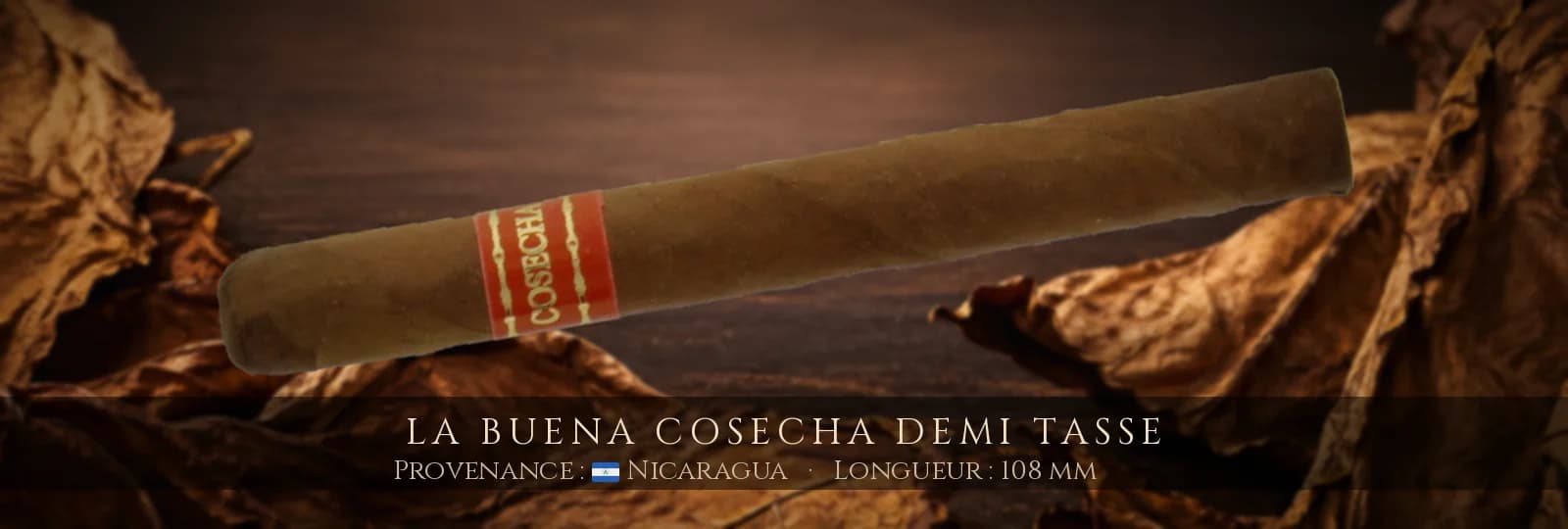 La Buena Cosecha Demi Tasse — La Buena Cosecha — Nicaragua