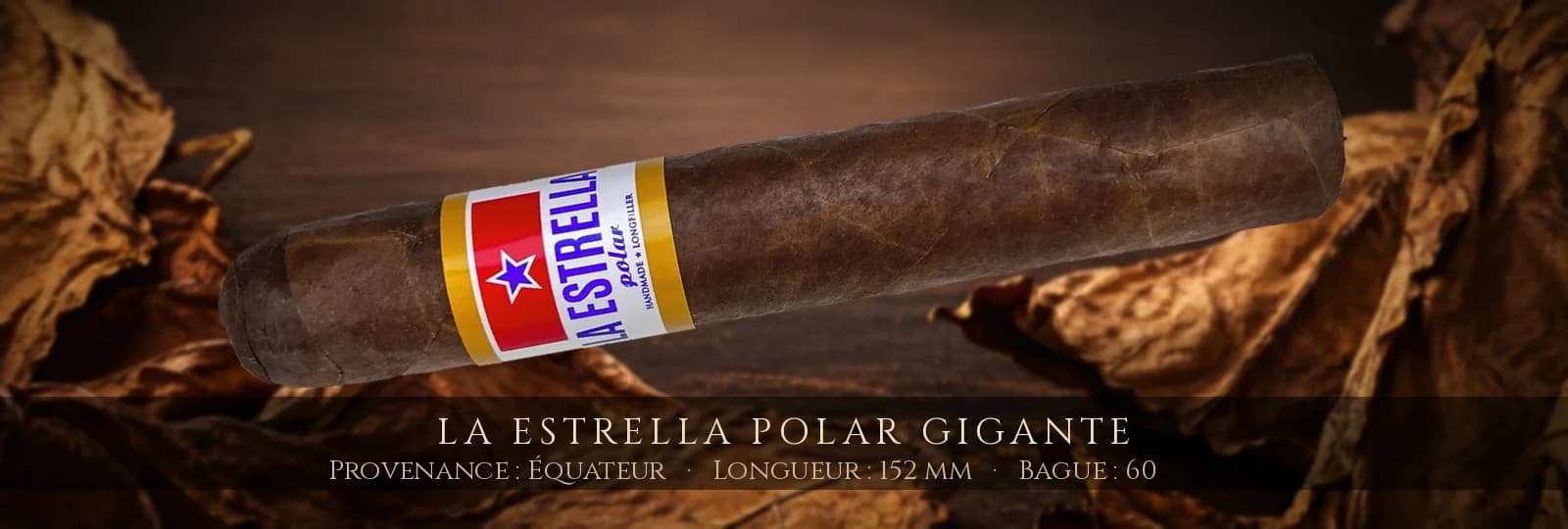 La Estrella Polar Gigante — La Estrella — Équateur