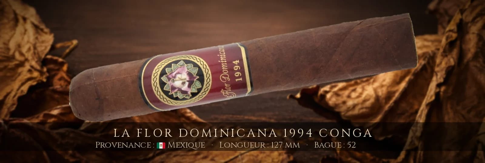 La Flor Dominicana 1994 Conga — La Flor Dominicana — Mexique