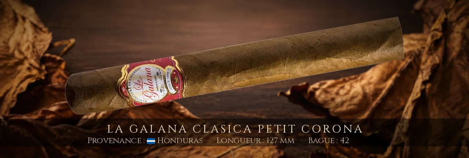 La Galana Clasica Petit Corona — La Galana — Honduras