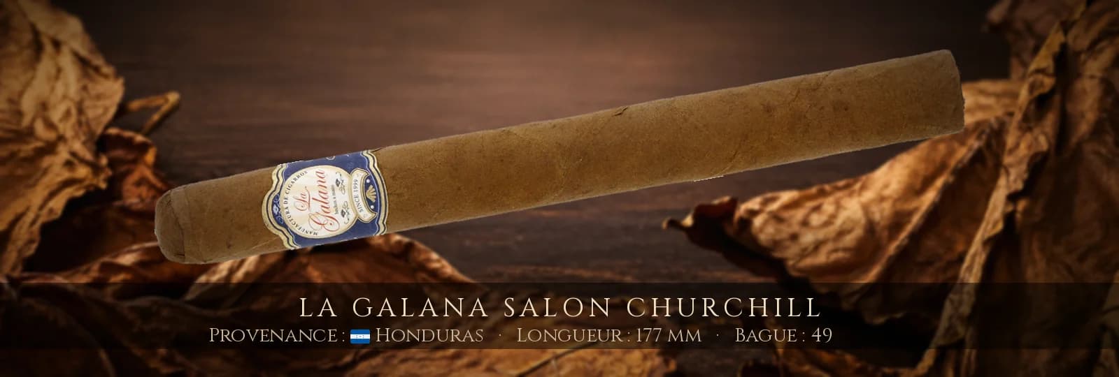 La Galana Salon Churchill — La Galana — Honduras
