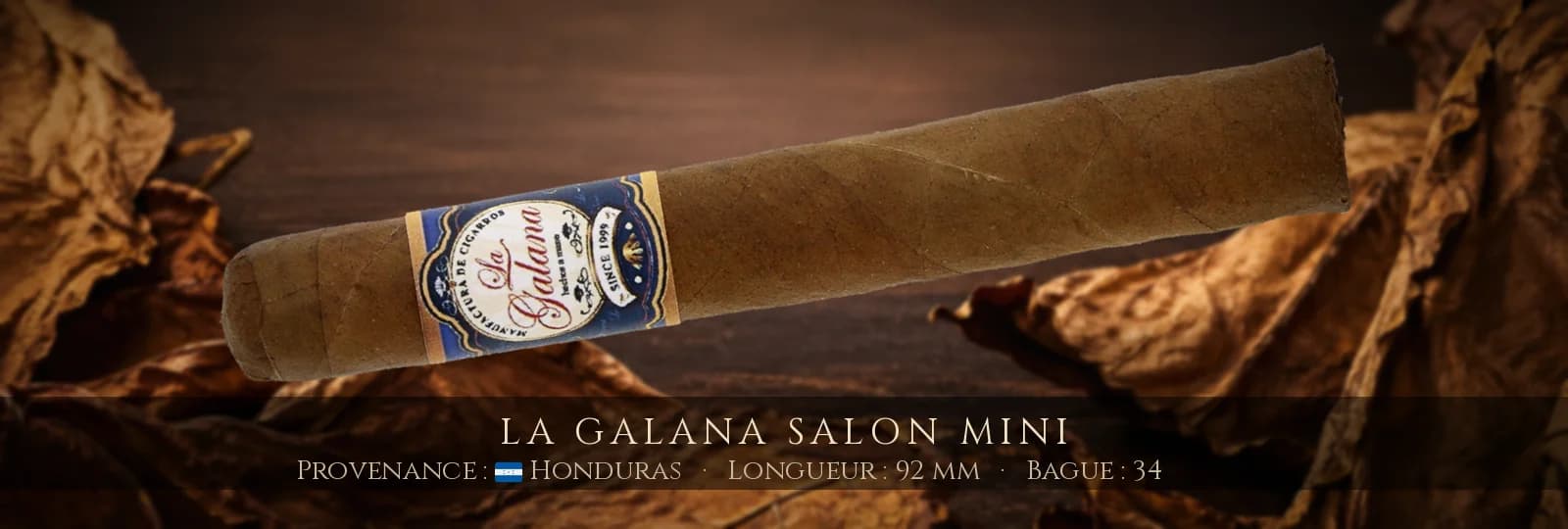 La Galana Salon Mini — La Galana — Honduras