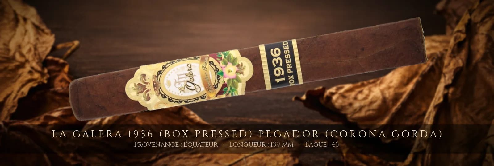 La Galera 1936 (Box Pressed) Pegador (Corona Gorda) — La Galera — Équateur