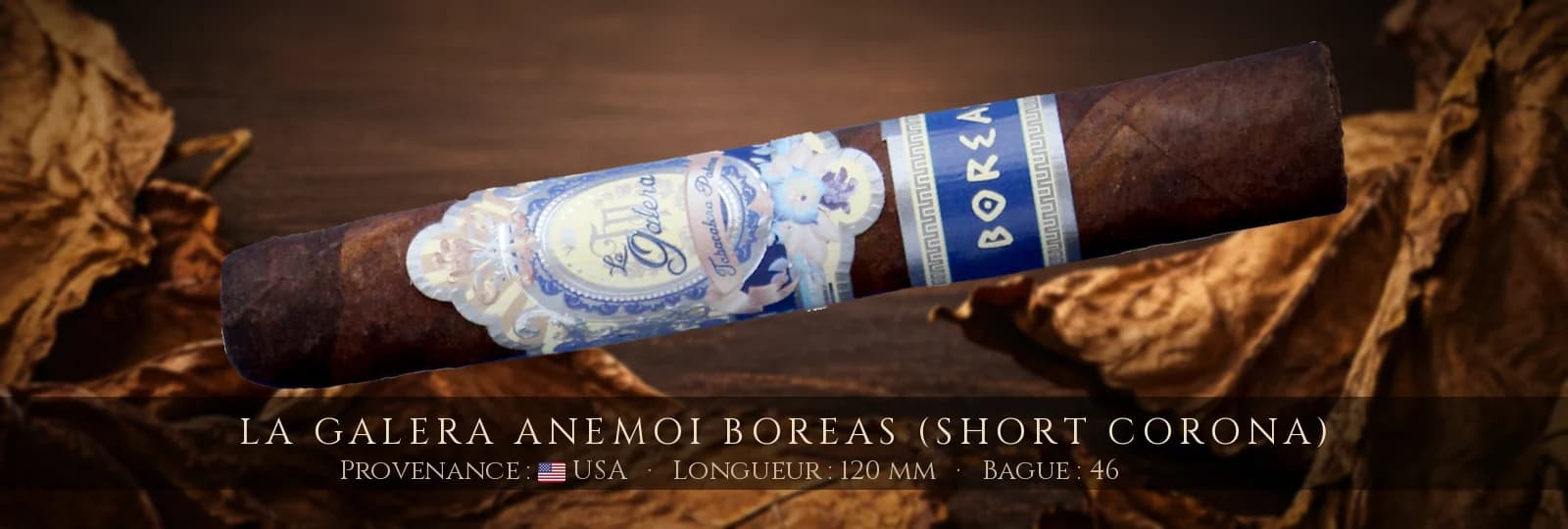 La Galera Anemoi Boreas (Short Corona) — La Galera — USA