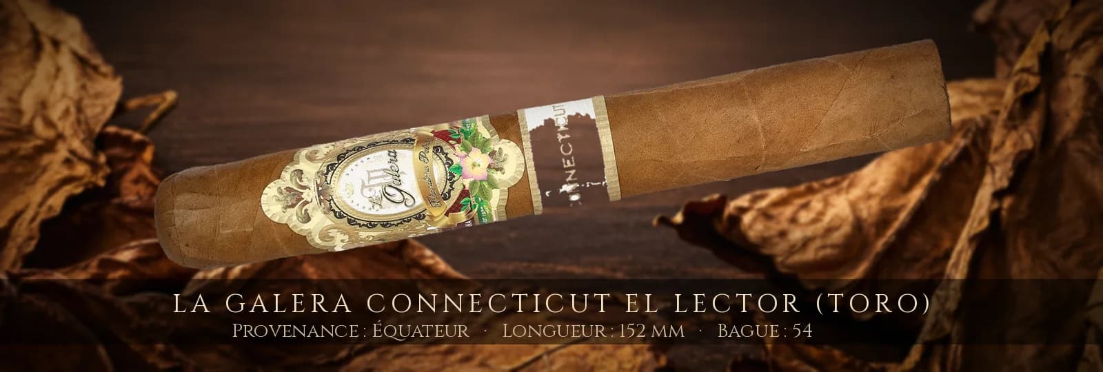 La Galera Connecticut El Lector (Toro) — La Galera — Équateur