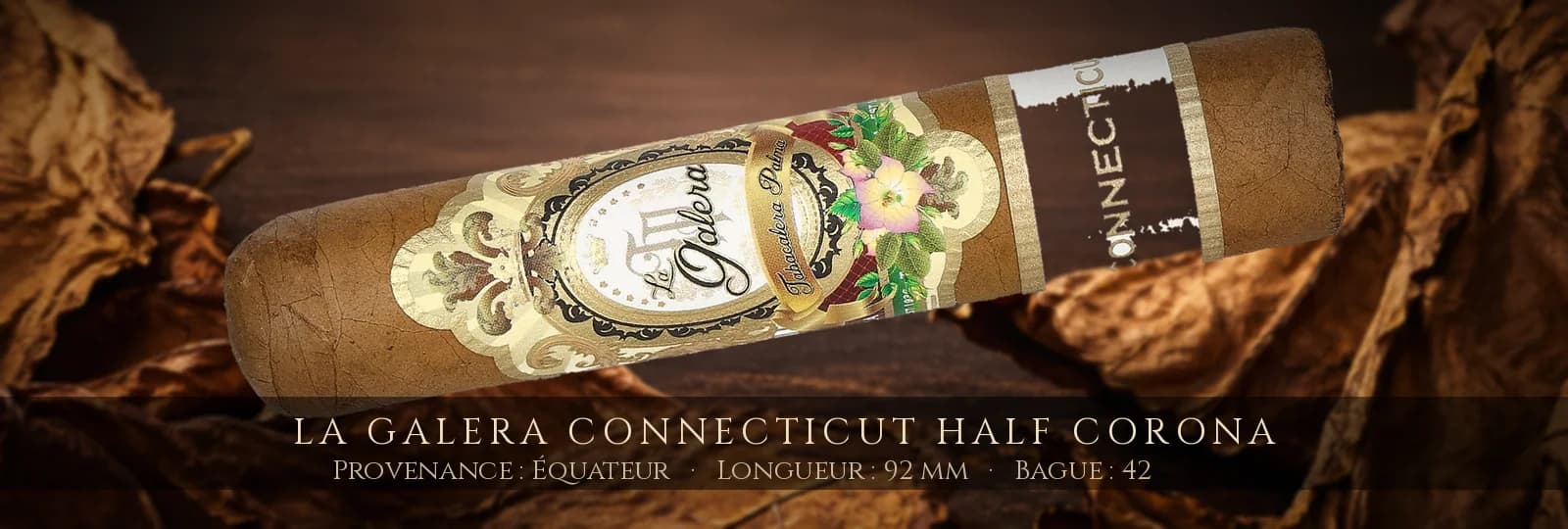 La Galera Connecticut Half Corona — La Galera — Équateur