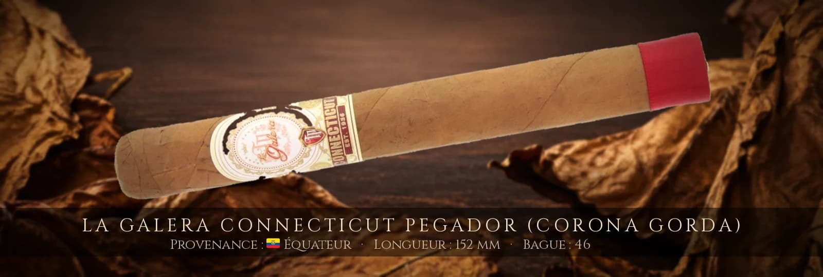 La Galera Connecticut Pegador (Corona Gorda) — La Galera — Équateur