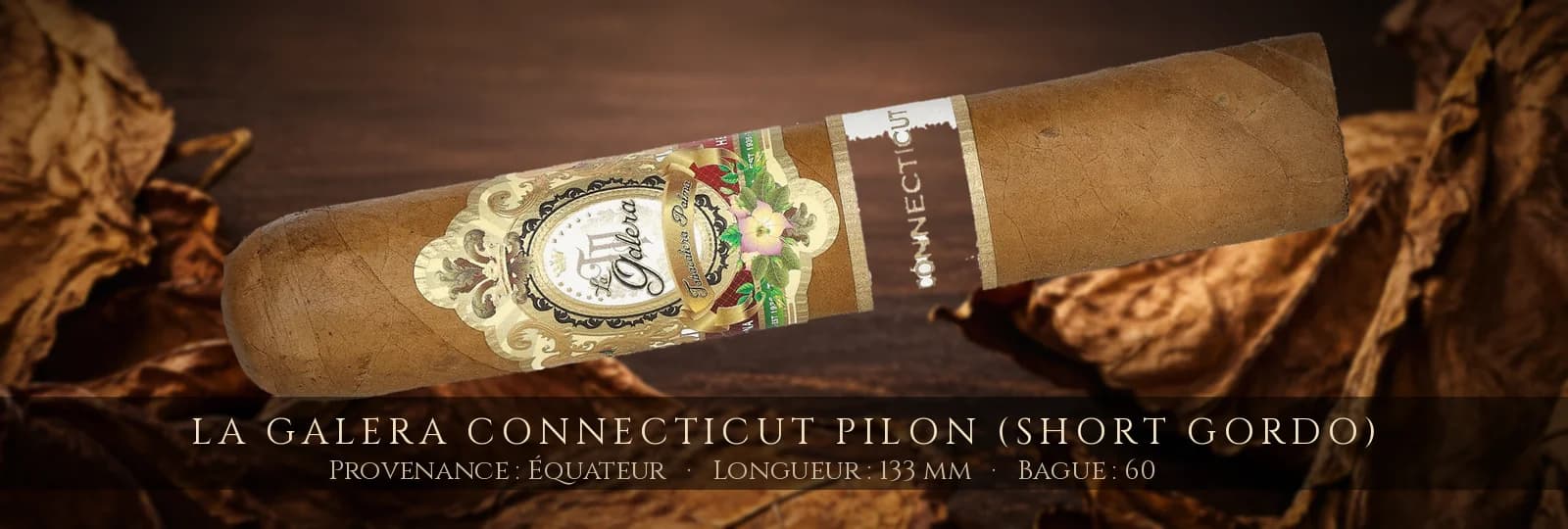 La Galera Connecticut Pilon (Short Gordo) — La Galera — Équateur
