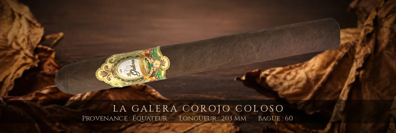 La Galera Corojo Coloso — La Galera — Équateur