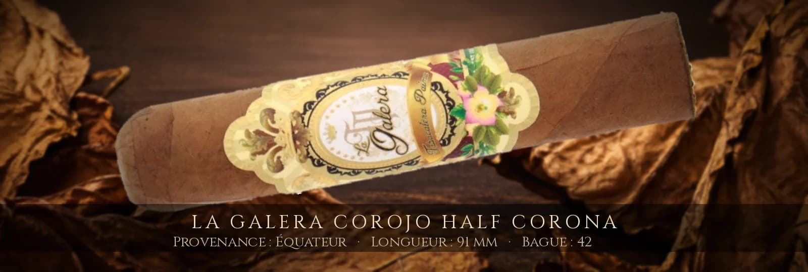 La Galera Corojo Half Corona — La Galera — Équateur