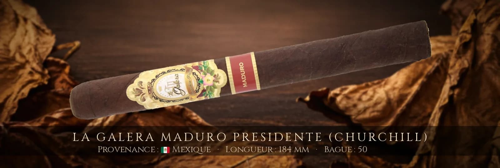 La Galera Maduro Presidente (Churchill) — La Galera — Mexique