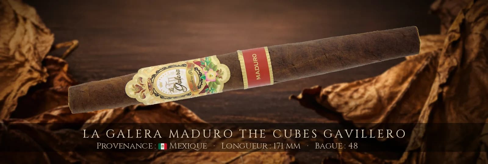 La Galera Maduro The Cubes Gavillero — La Galera — Mexique