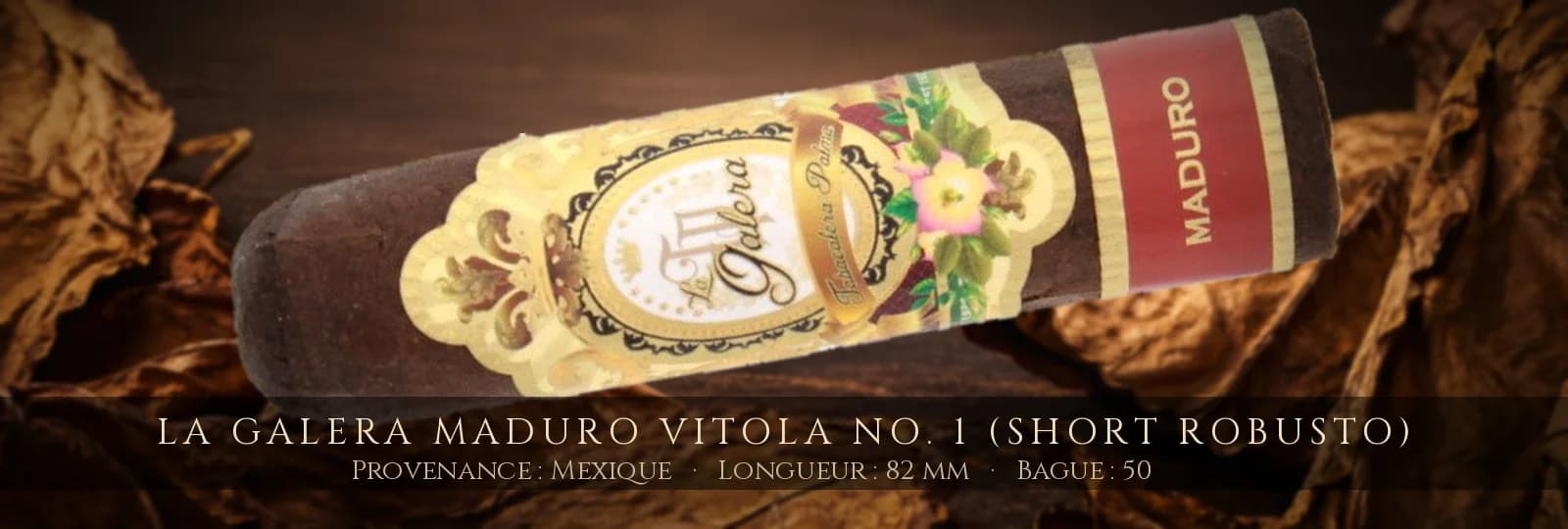 La Galera Maduro Vitola No. 1 (Short Robusto) — La Galera — Mexique