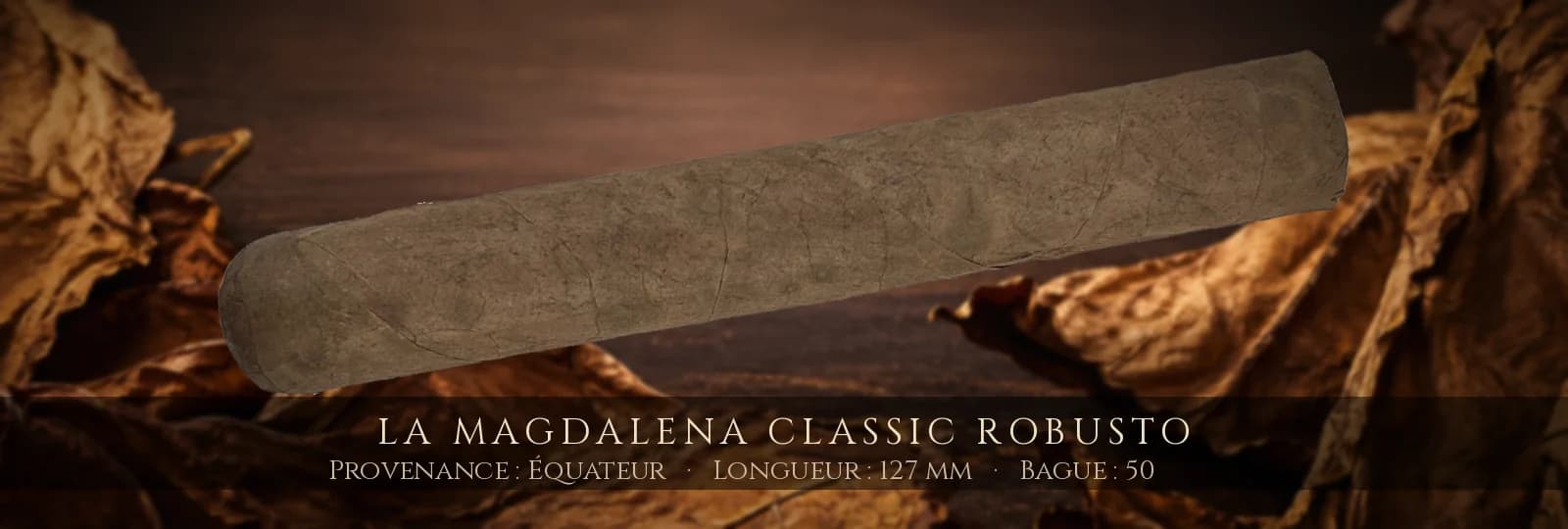 La Magdalena Classic Robusto — La Magdalena — Équateur