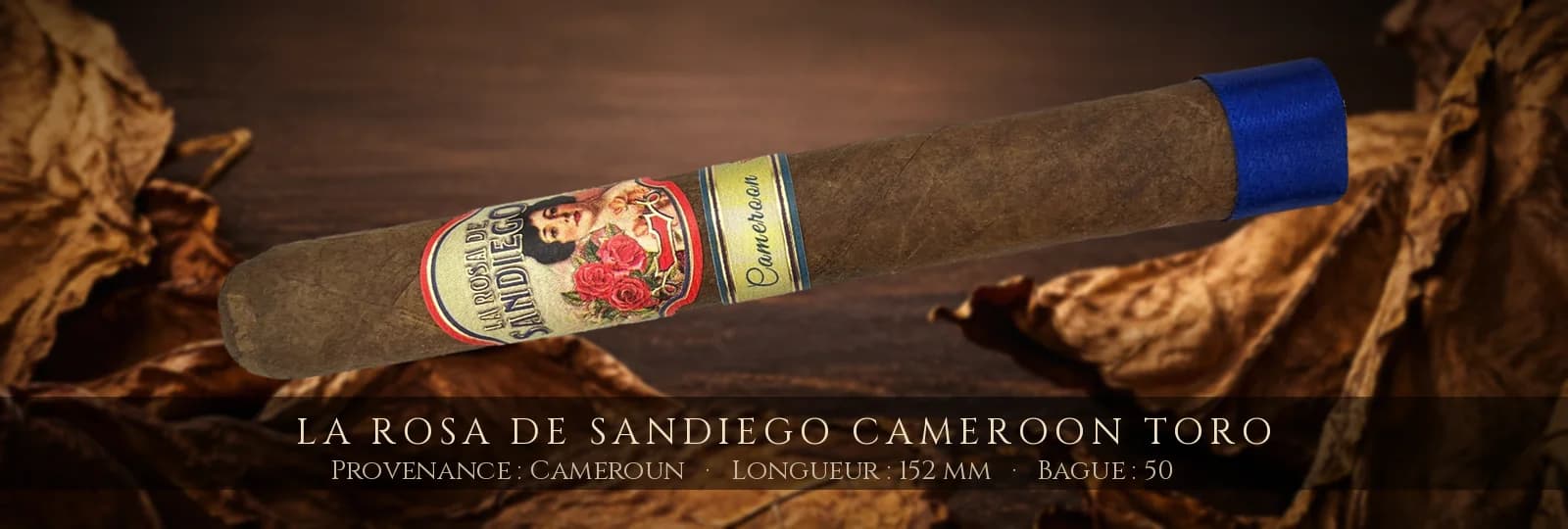 La Rosa de Sandiego Cameroon Toro — La Rosa de Sandiego — Cameroun