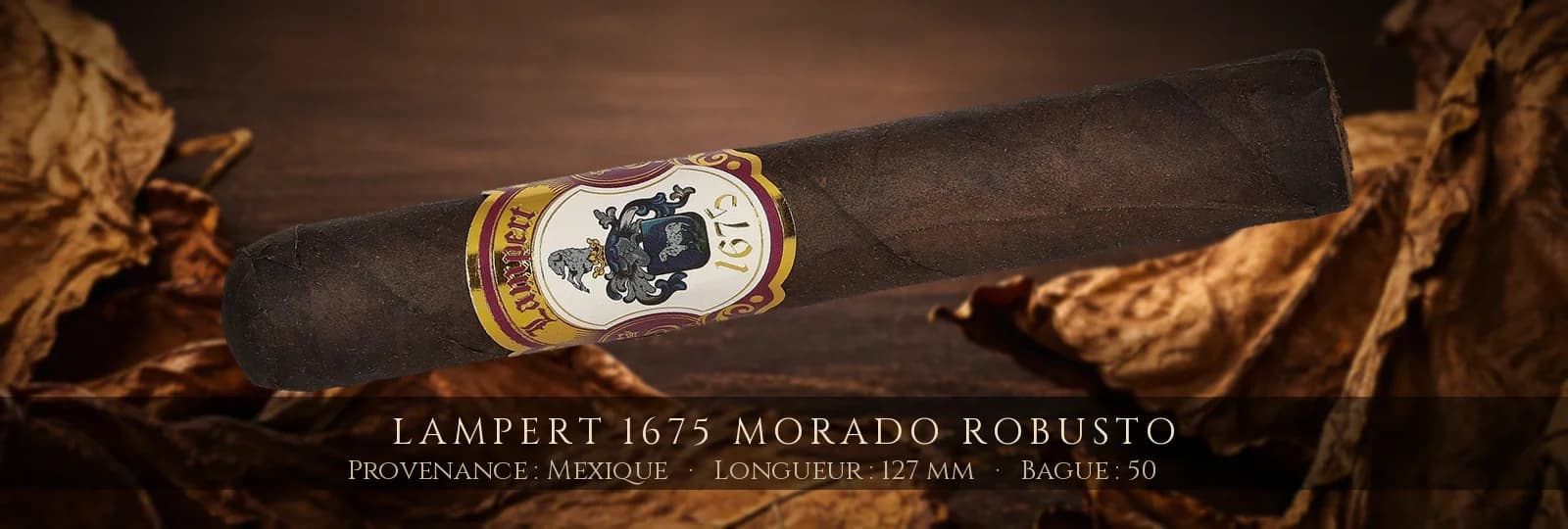 Lampert 1675 Morado Robusto — Lampert — Mexique