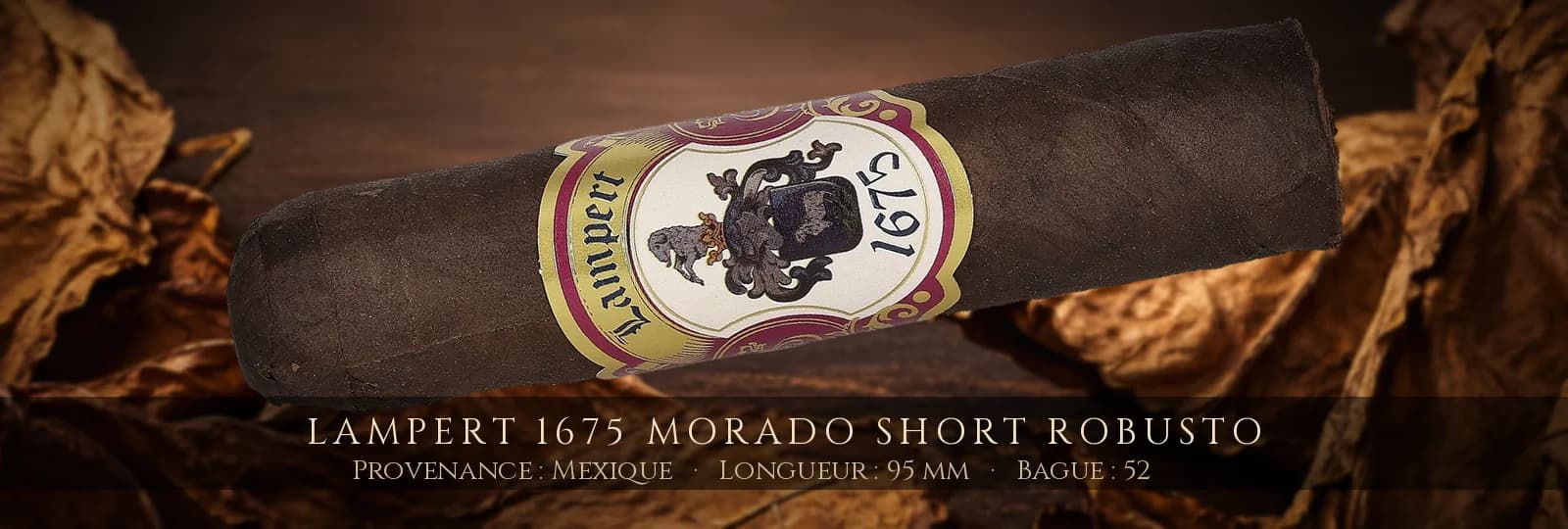 Lampert 1675 Morado Short Robusto — Lampert — Mexique