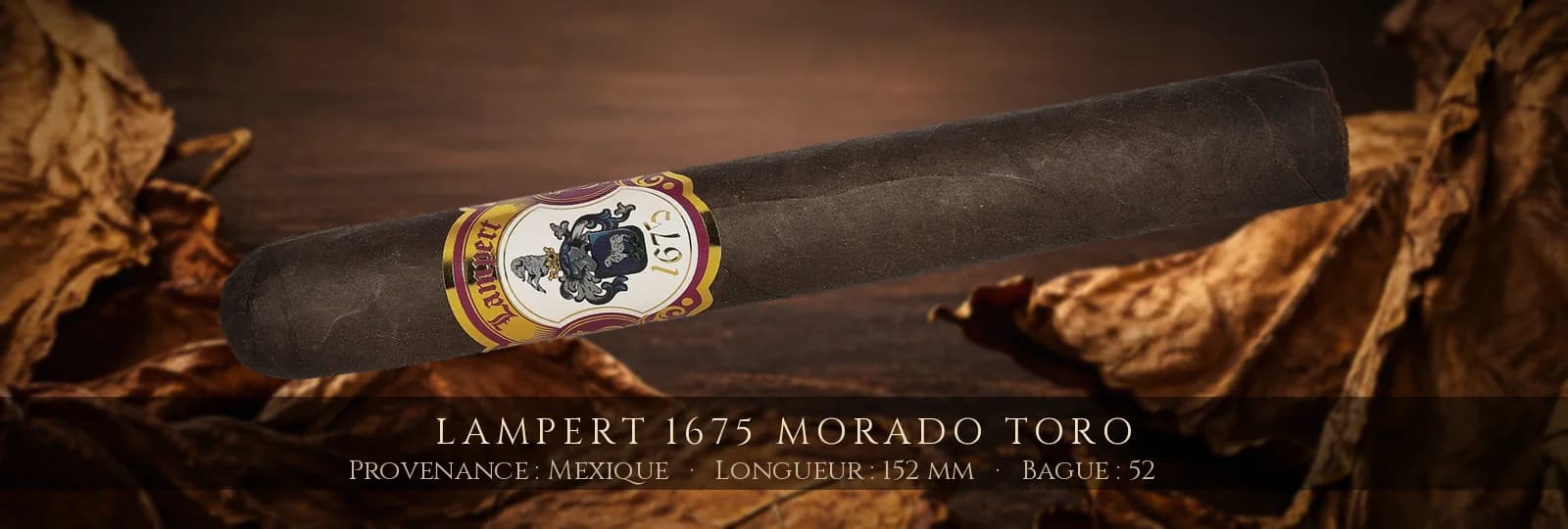 Lampert 1675 Morado Toro — Lampert — Mexique