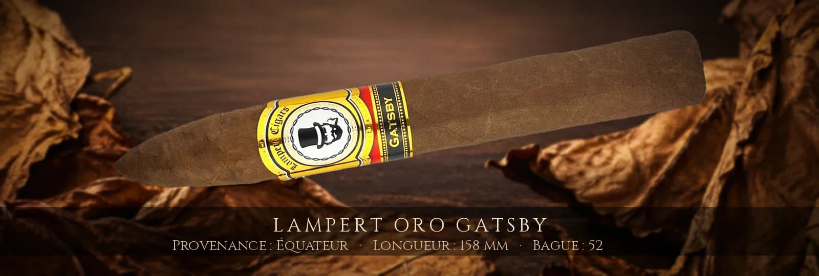 Lampert Oro Gatsby — Lampert — Équateur