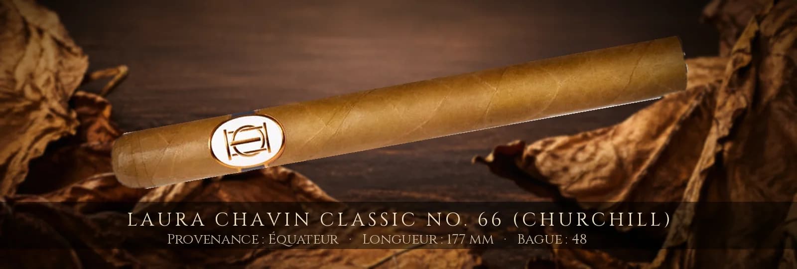 Laura Chavin Classic No. 66 (Churchill) — Laura Chavin — Équateur