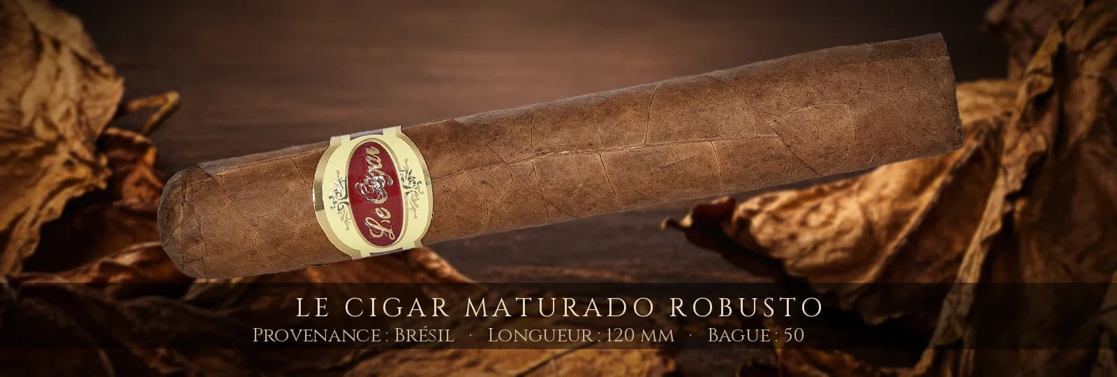 Le Cigar Maturado Robusto — Le Cigar — Brésil