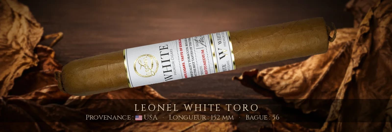 Leonel White Toro — Leonel — USA