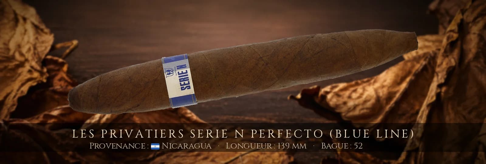Les Privatiers Serie N Perfecto (Blue Line) — Les Privatiers — Nicaragua