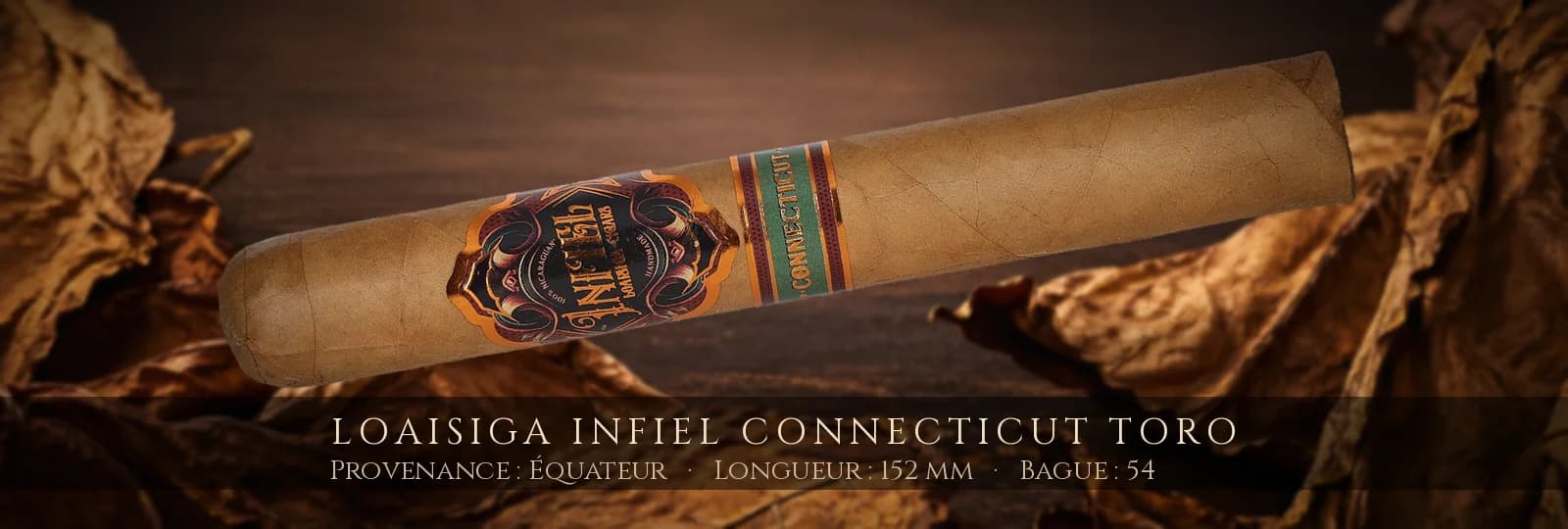 Loaisiga Infiel Connecticut Toro — Loaisiga — Équateur