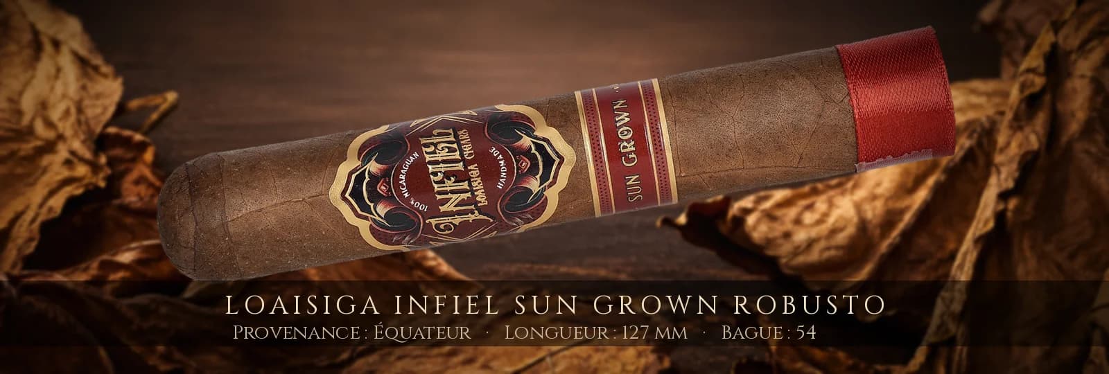 Loaisiga Infiel Sun Grown Robusto — Loaisiga — Équateur