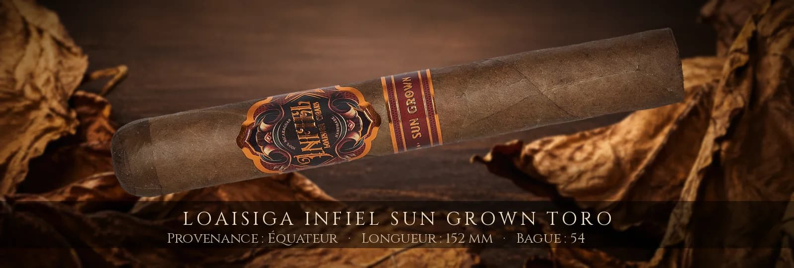 Loaisiga Infiel Sun Grown Toro — Loaisiga — Équateur