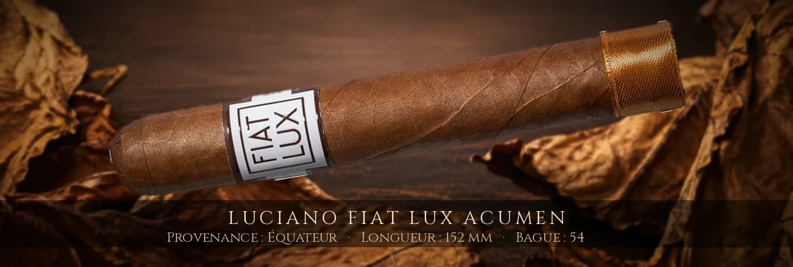 Luciano Fiat Lux Acumen — Luciano — Équateur