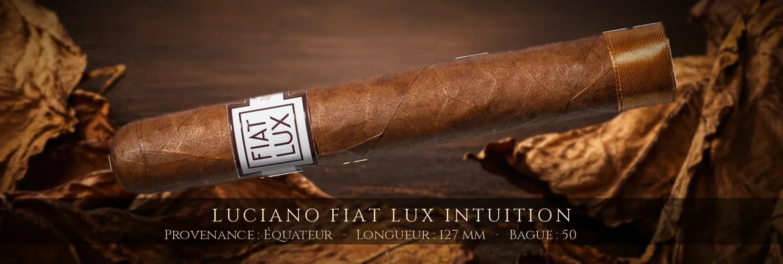 Luciano Fiat Lux Intuition — Luciano — Équateur