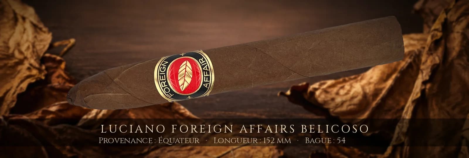 Luciano Foreign Affairs Belicoso — Luciano — Équateur