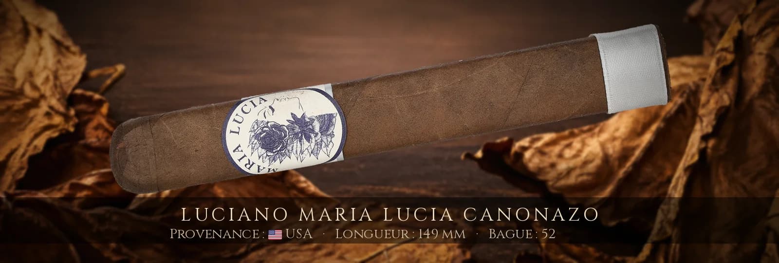 Luciano Maria Lucia Canonazo — Luciano — USA