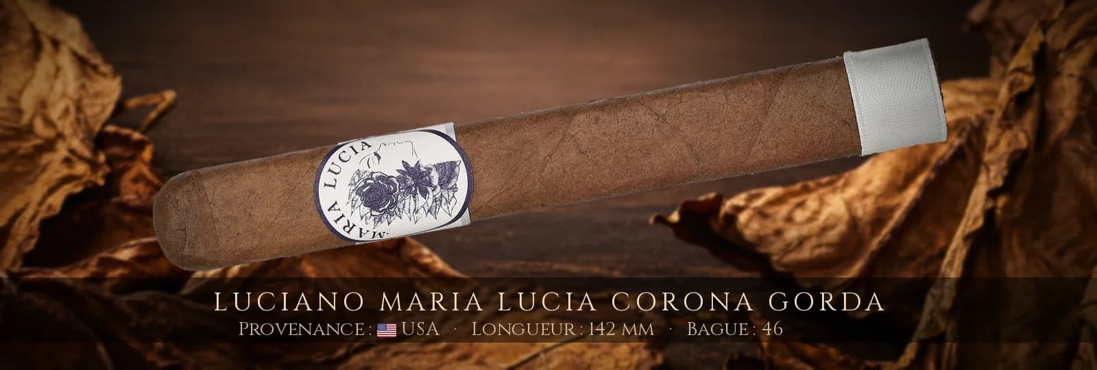 Luciano Maria Lucia Corona Gorda — Luciano — USA